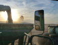 Wheat Harvest 2019