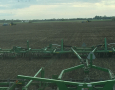 Planting Navy Beans 2018