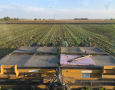 Last Pass 2020