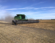 Combine Navy Beans 2021