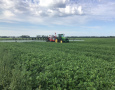 Fungicide #2 N. Bean 2022