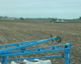 Busy Field 2021