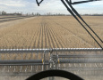 Soybean Harvest 2022