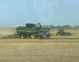 Wheat Harvest 2023