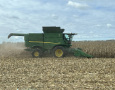 Corn Harvest 2023