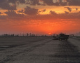 Navy Bean Harvest Sunset 2025