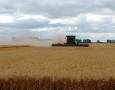 Wheat Harvest 2020