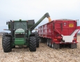 Corn Harvest 2013