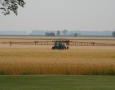 Spraying Wheat 2012